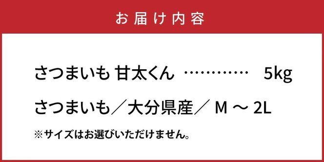 【先行予約】さつまいも 甘太くん 5kg 大分県産 M～2L _2291R
