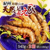 紀州和歌山産天然足赤えび540g×2箱（270g×4パック）　化粧箱入
※着日指定不可