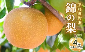 梨 先行予約 4kg 平野果樹園 錦の梨 清流錦 2026年発送 フルーツ 果物 デザート 配送不可：離島 