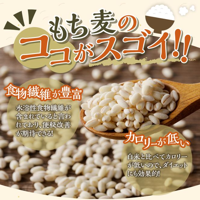 3カ月連続お届け【ごはんで腸活】もち麦ごはんレトルト24パック