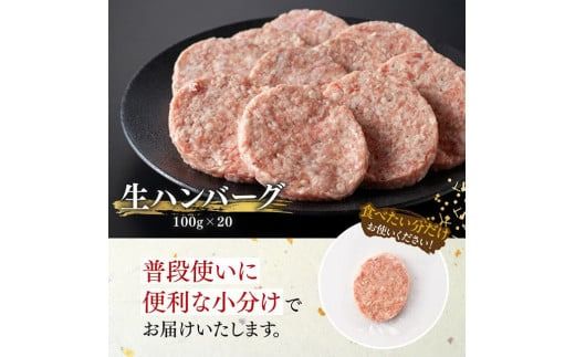 ハンバーグ 宮崎県産豚肉 「まるみ豚」 生ハンバーグセット計2kg（100g×20個）☆【 肉 豚肉 国産 ハンバ―グ 弁当 おかず お手軽 真空パック 九州産 宮崎県産 川南町産 送料無料 】[D11518]