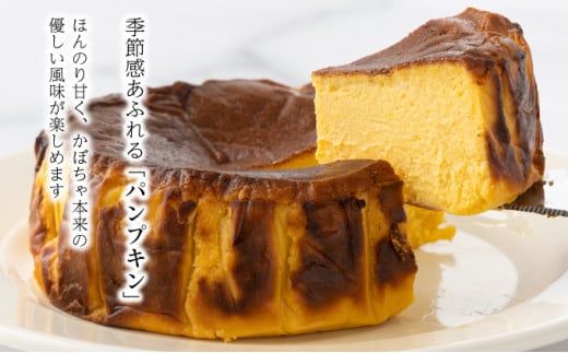 濃厚バスクチーズケーキ 選べる2種セット  バスクチーズケーキ クリーミーチーズケーキ クリスマス おやつ 冷凍 抹茶 プレーン かぼちゃ パンプキン ギフト プレゼント 誕生日 [C-694-SP]