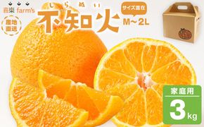 【産地直送】☆不知火☆家庭用☆約3kg   AL11