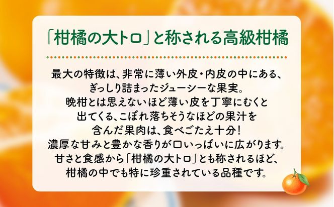 【先行予約】産地直送！愛媛県産せとか（訳あり） 3kg（2027年2月下旬から発送予定） IKTF005