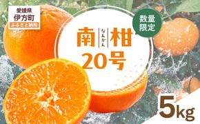 【先行受付】【数量限定】南柑20号（生果）5kg（2026年12月上旬頃より順次発送）IKTQ006