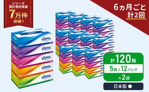 定期便 ティッシュ クリネックス 1ケース ( 5箱入 × 12パック )《 6ヶ月ごと計  2回 》 ティッシュ セット