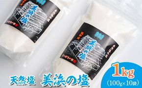 美浜の塩 1kg 100g×10袋 ｜天然塩 塩 食塩 ミネラル しお 天然 調味料 ソルト 海水塩 料理 味付 国産 おにぎり　愛知県 美浜町 食と健康の館 ※北海道・沖縄・離島への配送不可