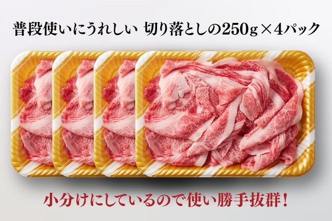 艶さし!【A4～A5】佐賀牛大判霜降り贅沢切り落とし 1kg(250g×4P)【佐賀牛 切り落とし 霜降り 肩ロース 大判 一枚肉 薄切り 250g 小分け】(H112342)