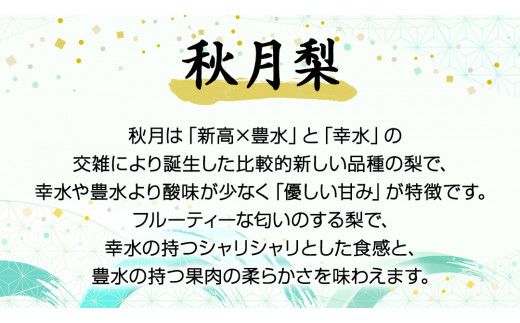 《 先行予約 》 茨城県産 梨 秋月 （ 約5kg ） 【 2026年 9月上旬頃より発送開始 】 あきづき アキヅキ フルーツ 果物 なし ナシ 旬 新鮮 旬 期間限定 国産 [CK003us]