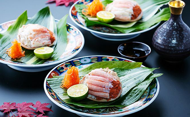 新物 セコガニ コッペがに ほぐし身（特大サイズ）3個セット 甲羅盛り〈お申込み～2026年7月中旬発送〉 蟹 カニ かに 松葉蟹 松葉ガニ ズワイガニ ボイル