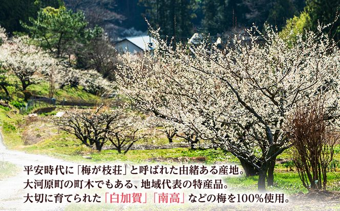 大河原産 昔ながらのすっぱいしそ梅干し 270g 20個セット ご飯のお供に 梅干し 梅干 うめぼし ウメボシ 梅 ごはんのお供 ご飯のお供 おにぎり 弁当 お弁当