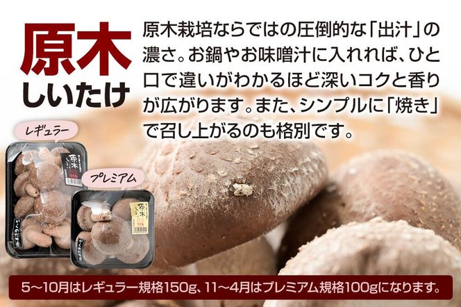 みちのくの小京都・角館が育んだ「2種セット」（桜えのき約300g×3袋、原木しいたけ×3パック） [えのき エノキ しいたけ 椎茸 シイタケ 秋田県 仙北市 角館]|02_sne-050101
