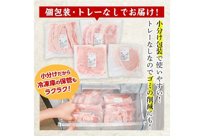 ＜定期便・全6回 (連続)＞豚肉 バラエティーパック (総量12kg・4種) 小分け 豚バラ スライス とんかつ ロース 豚こま しゃぶしゃぶ 鍋 大分県 佐伯市【BD209】【西日本畜産 (株)】