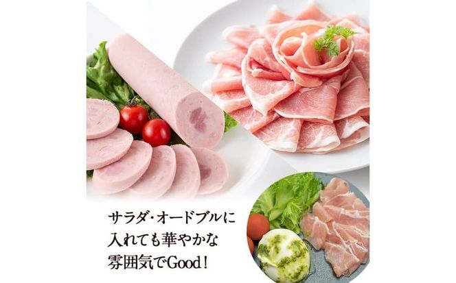 国産豚使用！ハム5種＆大根ポンズセット約920g(ボンレスハムスライス80g・ベーコンスライス80g・ポークソーセージ200g・生ハム切り落とし60g・荒挽きウインナー500g・大根ポンズ170g) a1-173