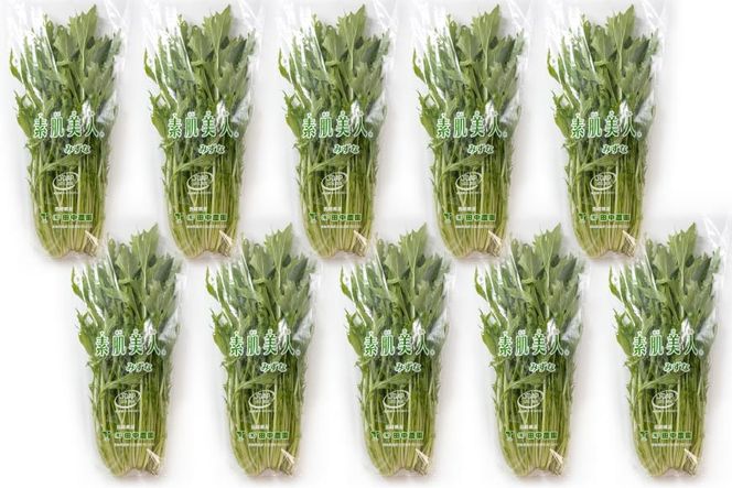 AI337 定期便 12回 水菜 10束 [ 野菜 みずな サラダ やさい 冷蔵 葉物野菜 田中農園 長崎県 島原市 ]