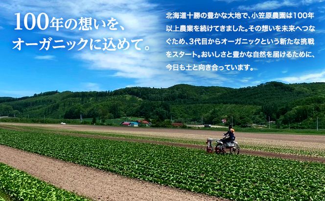 小笠原農園の有機とうもろこし「ミルキースイーツ」10本【北海道十勝幕別】《2026年8月出荷開始先行予約》【 スイートコーン コーン とうもろこし とうきび 黄色 野菜 夏 北海道 幕別町 】 