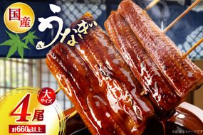 うなぎ 国産 日向うなぎ 蒲焼 大 4尾 計660g以上 [株式会社日向サンパーク 宮崎県 日向市 452061760] セット 小分け 鰻 ウナギ うなぎの蒲焼 蒲焼 蒲焼き ◎
