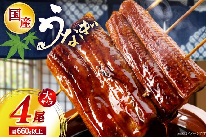 うなぎ 国産 日向うなぎ 蒲焼 大 4尾 計660g以上 [株式会社日向サンパーク 宮崎県 日向市 452061760] セット 小分け 鰻 ウナギ うなぎの蒲焼 蒲焼 蒲焼き ◎
