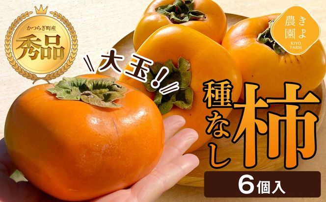 ya̎R쒬z`(햳) 6 Giʁm2026N9蔭nmKT1n 303446_XN90001