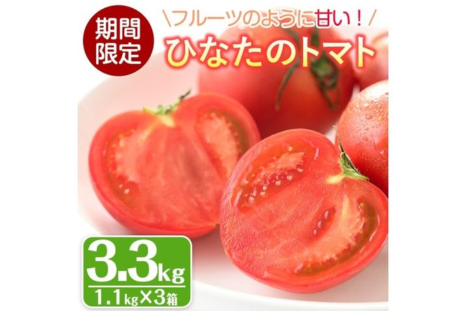 y{茧쒬zs\tI2026N2珇\聄ЂȂ̂Ƃ܂(v3.3kgE1.1kg×3)g}g t[cg}g x 9x ȏ  { ① 쒬YyA-5zyVg}g_z