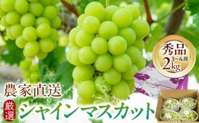 シャインマスカット 2kg 箱 農家直送 厳選 持田農園 2026年9月下旬以降発送 322032_EB006