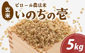 富山県滑川市産　弱アルカリ性米　「ピロール農法米　いのちの壱」玄米5kg【2025年10月中旬より順次発送】 / 産地直送 袋 ブランド米 お米 米 ご飯 ごはん 富山 滑川市 アグリめぐみ 農家直送 おこめ
