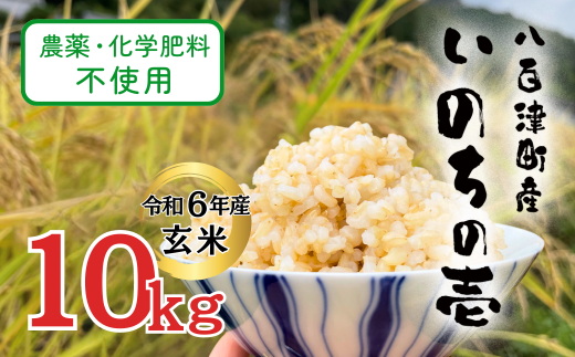 431. [令和6年産]農薬・化学肥料不使用 オータニ農業の『いのちの壱』玄米10kg