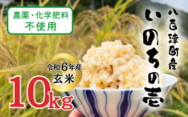 431. 【令和6年産】農薬・化学肥料不使用　オータニ農業の『いのちの壱』玄米10kg【10月下旬発送開始】