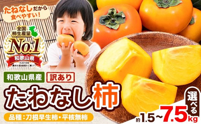 【ご家庭用/訳あり】たねなし柿 約1.5kg 約4kg 約7.5kg《2026年9月中旬-11月上旬頃より出荷予定》 和歌山県 紀の川市 柿 カキ かき ジューシー フルーツ---wfn_wlocal62_9c11j_25_4500_1500g---