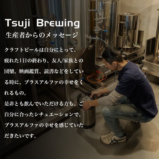 Tsuji Brewingオリジナルクラフトビール6本セット お酒 地ビール 瓶ビール 飲み比べ ビール飲み比べ アルコール飲料 家飲み 晩酌 バーベキュー BBQ 