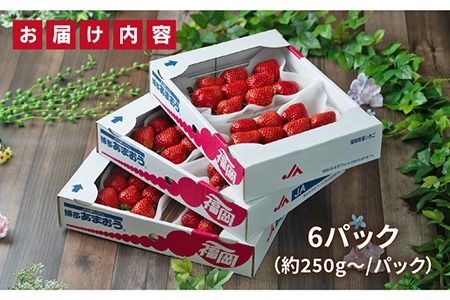 【先行予約】糸島産【春】 あまおう 6パック 【2025年2月上旬以降順次発送】 《糸島》【南国フルーツ株式会社】