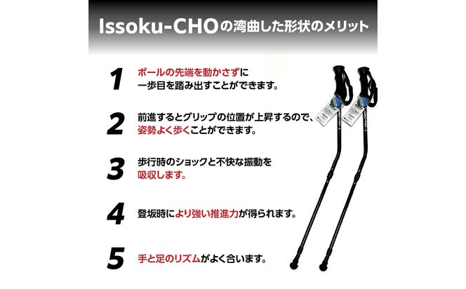 【R17035】ウォーキングポール Issoku-CHO（1足長） オールブラック 2本1セット