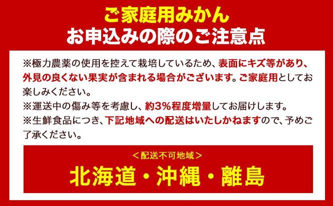 ＜先行予約＞ご家庭用　蔵出みかん 5kg【有田の蔵出しみかん】【光センサー選果】池田鹿蔵農園@日高町(池田農園株式会社)《1月中旬-2月末頃出荷》和歌山県 日高町【配送不可地域あり】---wsh_idn55_1c2m_24_11000_5kg---