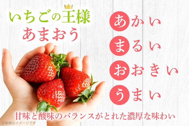 いちご 冷凍 冷凍 完熟 あまおう 2kg [ストロベリーファーム 福岡県 宇美町 um40azp070000] イチゴ 苺 フルーツ 冷凍フルーツ 果物 果実 甘い あまい 冷凍いちご 冷凍苺 冷凍イチゴ