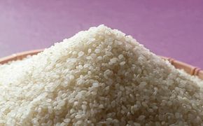地元の学校で使われてるお米 レンゲ米 コシヒカリ 15kg / 米 こめ お米 おこめ コシヒカリ こしひかり 精米 白米 ご飯 国産 美味しい おいしい ふっくら 新鮮 数量限定 三重県 紀宝町【rng002】
