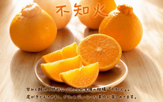 【発送月固定定期便】紀州和歌山産旬のフルーツセット(いちご4P・ポンカン・紀州デコ約5kg)全3回 【tkb450】
