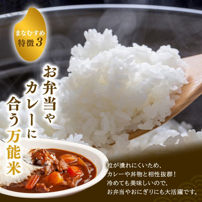 まなむすめ 定期便3回/5kg×2袋 令和8年産 新米 先行予約 宮城県産 米 精米 白米 米 コメ お米 おこめ ブランド米 ご飯 ごはん