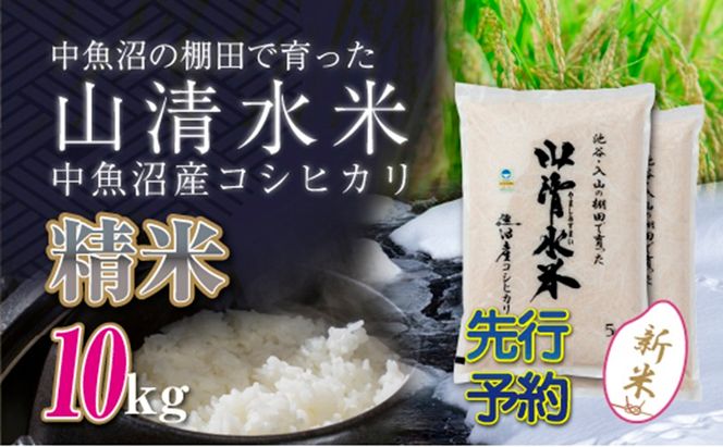 【令和8年産 先行予約】新潟県魚沼産コシヒカリ「山清水米」精米10kg