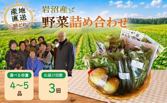 【定期便3ヶ月】宮城県 岩沼産 産地直送 朝どれ 新鮮野菜 4～5種類 詰め合わせセット