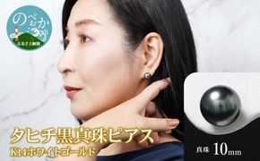 タヒチ黒真珠ピアス真珠10mm14Kホワイトゴールド N0119-YZG0132