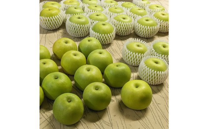 1264.【2026年度発送先行予約】訳あり　二十世紀梨　5kg 313726_CS007