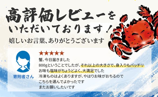 ［冷蔵便］茹でたて直送！北海道産 または ロシア産 朝茹で毛ガニ 約800g×1尾【 かに カニ 蟹 幕別町 北海道 毛蟹 毛ガニ 海鮮 魚介 海の幸 海産物 冷蔵 】