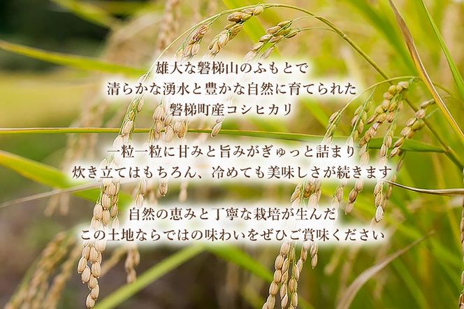 【先行予約】【令和8年産・新米】コシヒカリ10kg　磐梯町の名水で育ったコシヒカリ　11月中旬発送　会津産　磐梯町産　福島県産　精米