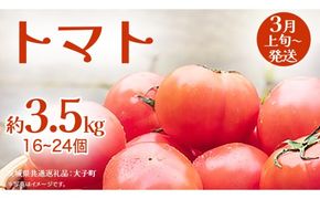 トマト 約3.5kg (16～24個)【2027年3月上旬発送開始】(茨城県共通返礼品：大子町) とまと 野菜 やさい