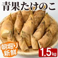 ＜先行予約受付中！2027年2月下旬以降順次発送予定＞ 【平日着】朝堀り青果たけのこ(約1.5kg) 国産 新鮮 タケノコ 青果 竹の子 筍 野菜 春 旬 期間限定 数量限定 【上野食品】akn008-04-A