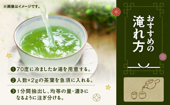 ＜選べる＞かごしま知覧茶 100g×1袋～12袋　K346-001_SKU