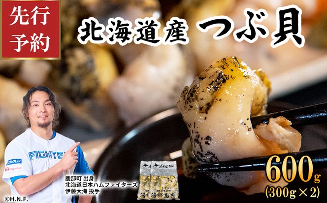 【先行予約】北海道鹿部町産 つぶ貝 600g （300g×2袋） 刺身 不揃い つぶ ツブ ツブ貝 つぶ貝
