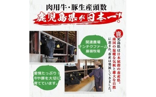 豚タンパストラミスライス 計375g(75g×5P) p9-030