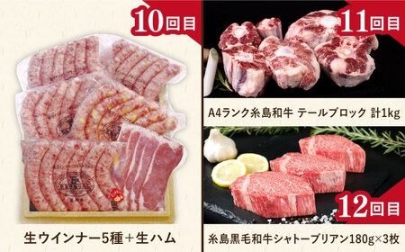 【全12回定期便】肉のお楽しみ定期便 食べ比べ セット （ 博多和牛 糸島和牛 糸島豚 はかた地どり イノシシ ウインナー シャトーブリアン ステーキ ハム ソーセージ ハンバーグ ） [AAH009]