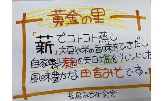 手作り味噌 ながしま黄金の里 900g×3個 / お味噌 味噌 みそ 調味料 お味噌汁 手作り 手づくり